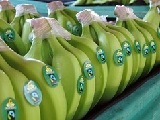 Noticia Radio Panamá | Lamenta Panamá suspensión por la UE de acuerdo bananero