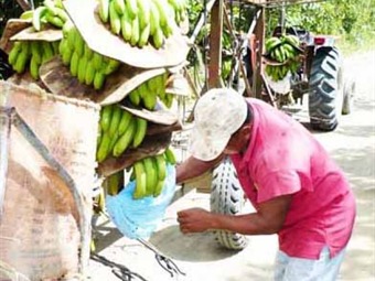 Noticia Radio Panamá | Panamá satisfecho por solución a conflicto bananero con la UE