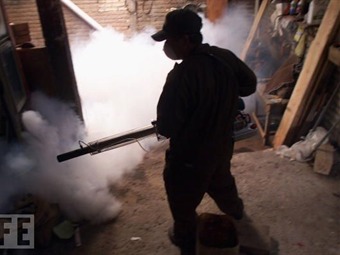 Noticia Radio Panamá | A 31 se elevan los muertos por dengue en Honduras