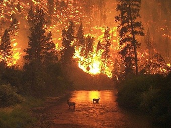 Noticia Radio Panamá | 18 muertos y miles de damnificados en Rusia por los incendios forestales