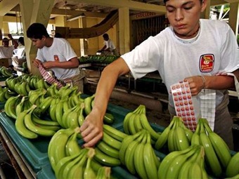 Noticia Radio Panamá | Parlamento Europeo analizará acuerdo del banano con países de Latinoamérica
