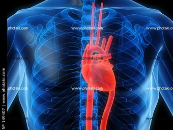 Noticia Radio Panamá | ¿Se puede hacer un corazón humano con impresora 3D?