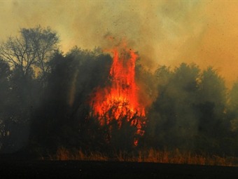 Noticia Radio Panamá | Argentina sufre el incendio forestal más grande de su historia