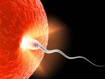 Noticia Radio Panamá | Dar largas a la maternidad, principal causa de infertilidad