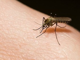 Noticia Radio Panamá | MINSA investiga presunta muerte por dengue de un hombre en Colon