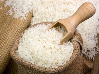 Noticia Radio Panamá | Productores de arroz preocupados por escasez del grano