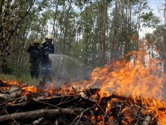 Noticia Radio Panamá | Crece la alerta por 31 incendios forestales activos en Colombia