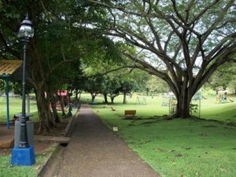 Noticia Radio Panamá | Parque Omar cerrará el miércoles 18 de noviembre por jornada de fumigación