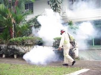 Noticia Radio Panamá | Casos de dengue disminuyeron durante el 2015 a comparación del año anterior