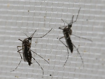 Noticia Radio Panamá | Aumentan casos de Guillain-Barré en Colombia por el virus del zika