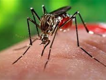 Noticia Radio Panamá | MINSA reporta que no se han dado nuevos casos de Zika en la Comarca Guna Yala
