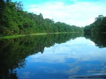 Noticia Radio Panamá | Colombia, Brasil y Perú acuerdan desarrollar buque para proteger la Amazonía