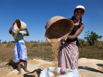 Noticia Radio Panamá | FAO y ONU Mujeres destacan papel femenino contra pobreza y por alimentación