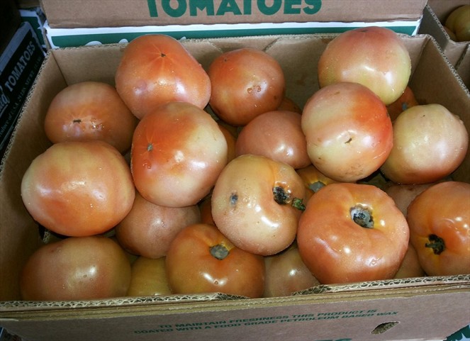 Noticia Radio Panamá | Productor denuncia presunta presencia de hongos en tomates importados