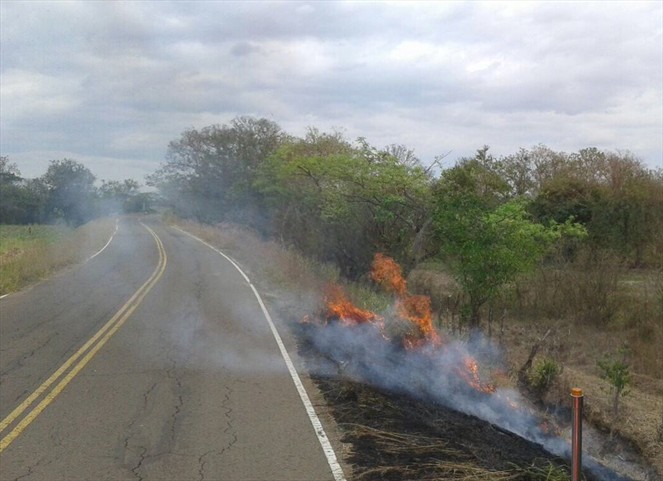 Noticia Radio Panamá | MiAmbiente aumenta vigilancia para evitar quemas indiscriminadas
