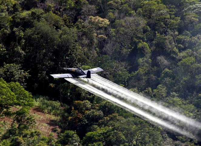 Noticia Radio Panamá | Volver a la fumigación áerea no es una opción para erradicar cultivos de coca, dice el gobierno colombiano