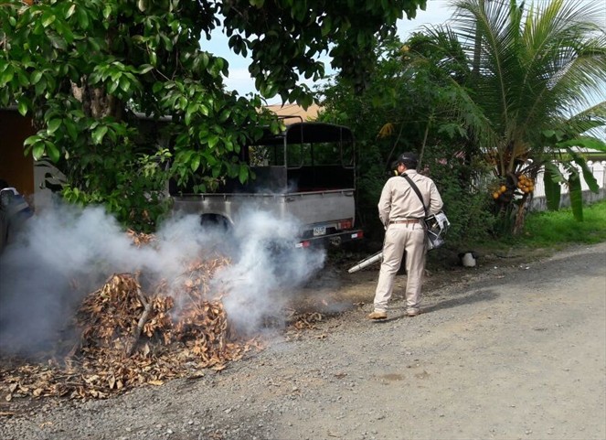 Noticia Radio Panamá | MINSA ha detectado unos 1,036 casos de dengue a nivel nacional
