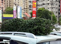 Noticia Radio Panamá | Autoridad de Tránsito de prepara para mantener el tráfico fluido en temporada navideña