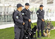 Noticia Radio Panamá | Unidades caninas harán patrullaje policial en diferentes zonas de Panamá.