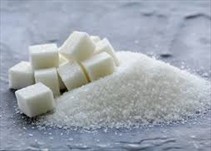 Noticia Radio Panamá | Cientifíficos descubren cómo transformar azúcar en morfina