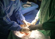 Noticia Radio Panamá | Hospital de David recibe primera donación de órganos de este año