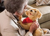Noticia Radio Panamá | Tener una mascota ayuda a mejorar la salud de los adultos mayores
