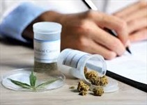 Noticia Radio Panamá | Autoridades del Reino Unido anuncia legalización del cannabis terapéutico