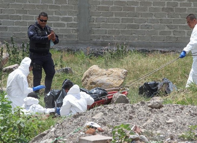 Noticia Radio Panamá | Autoridades encuentran 10 cuerpos en una fosa clandestina en Guadalajara
