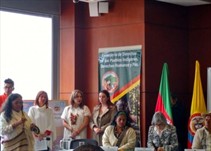 Noticia Radio Panamá | Justicia Especial de Paz estudiará casos de violencia contra indígenas en Colombia