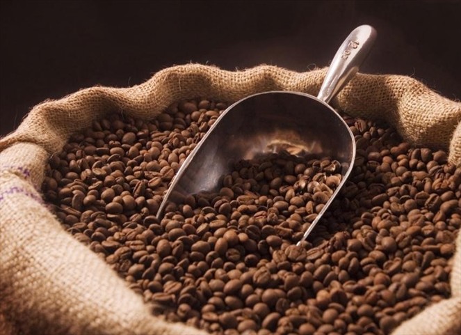 Noticia Radio Panamá | Sin Filtro; ¿Cuánto café se importa en Panamá?