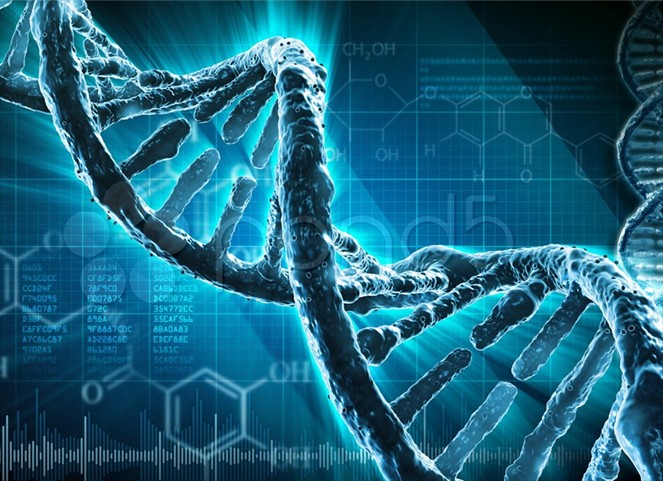 Noticia Radio Panamá | Investigadores describen nueva maquinaria de reparación de errores en el ADN