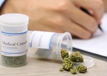 Noticia Radio Panamá | Cannabis medicinal colombiano también llegará a la Bolsa de valores de Canadá