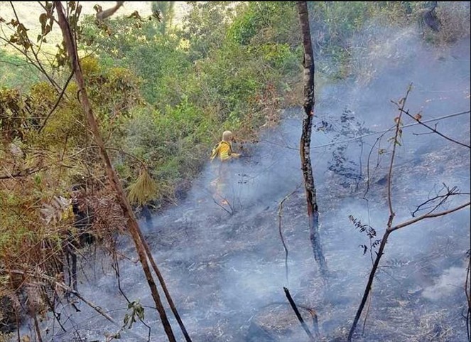 Noticia Radio Panamá | Autoridades tienen identificados a responsables de incendio en Reserva Forestal La Yeguada