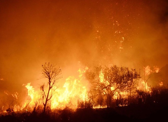 Noticia Radio Panamá | Incendio consume cientos de hectáreas del parque nacional de El Salvador