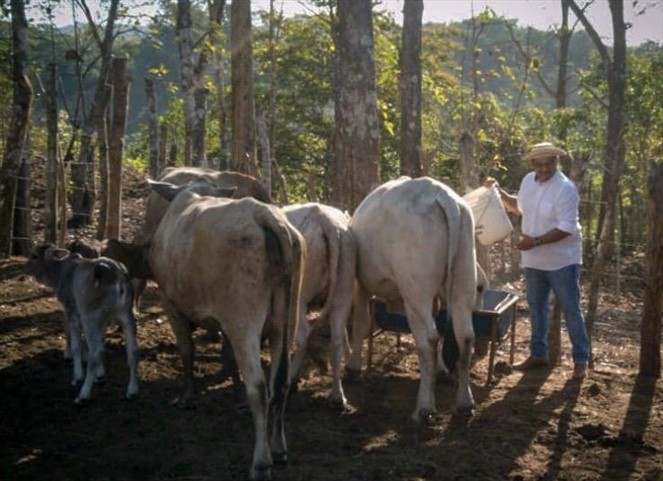 Noticia Radio Panamá | Saúl Méndez propone Soberanía Alimentaria para el pueblo panameño