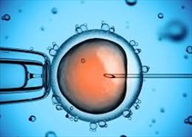 Noticia Radio Panamá | Científicos logran modificar genéticamente embriones humanos sin fallos