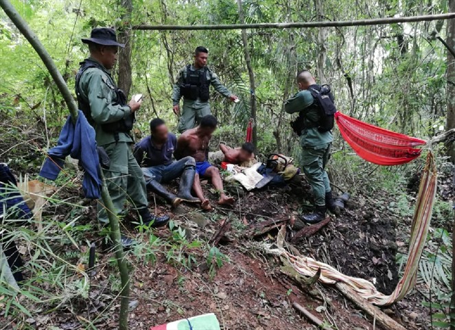 Noticia Radio Panamá | Detienen a tres personas por tala ilegal de árboles