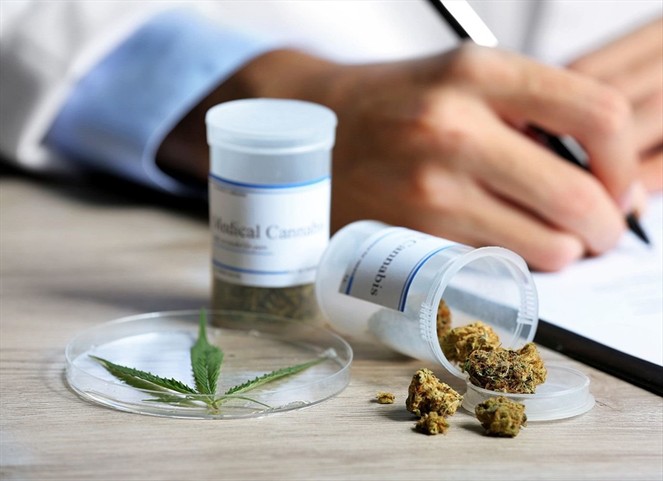 Noticia Radio Panamá | Avanza el primer debate del proyecto ley que regula el uso medicinal del cannabis