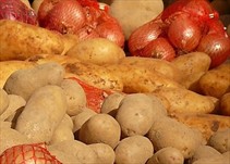 Noticia Radio Panamá | Producción de cebollas y papas en tierras altas está garantizada por los próximos 60 días