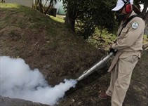 Noticia Radio Panamá | Casos de dengue van en aumento en comparación con el año anterior