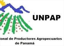 Noticia Radio Panamá | UNPAP pide al Presidente Cortizo mayor claridad con respecto a los salvoconductos