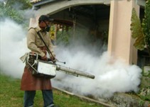 Noticia Radio Panamá | Panamá Norte registra más de 200 casos de dengue en lo que va del año