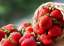 Noticia Radio Panamá | Propiedades y beneficios de las fresas