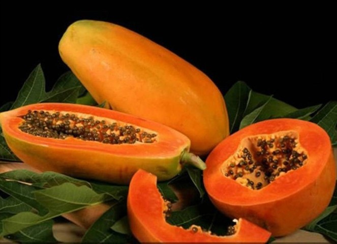 Noticia Radio Panamá | Virtudes y beneficios de la papaya
