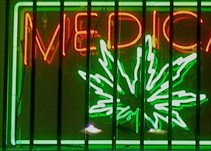 Noticia Radio Panamá | El Cannabis Medicinal el proyecto de ley en la eterna sala de espera de la Asamblea Nacional