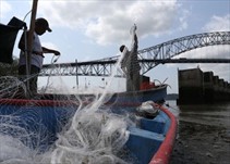 Noticia Radio Panamá | Comisión de Asuntos Agropecuarios abre consultas para proyecto de ley que regula la pesca y la acuicultura