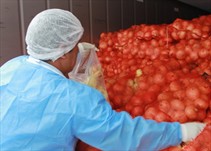 Noticia Radio Panamá | Autorizan importación de cebolla para evitar aumento de precios y desabastecimiento