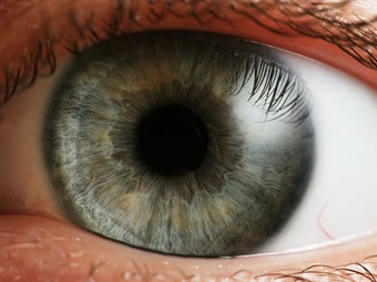 Noticia Radio Panamá | Científicos detectan Esquizofrenia y Alzheimer mediante movimientos oculares