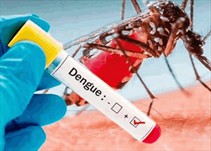 Noticia Radio Panamá | Región de Salud de San Miguelito contabiliza 130 casos de dengue en 2020