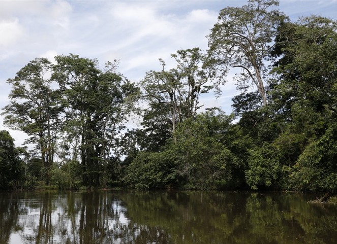 Noticia Radio Panamá | MiAmbiente revisa nuevas áreas protegidas para conservación de humedales